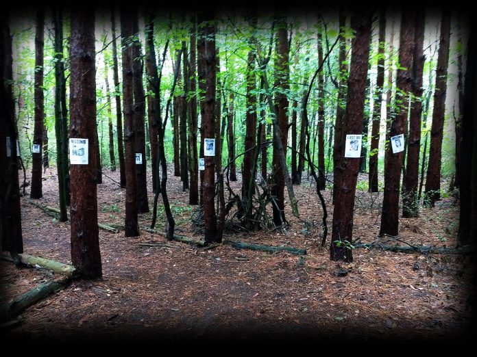 Edited image of section of Terrorfied Forest