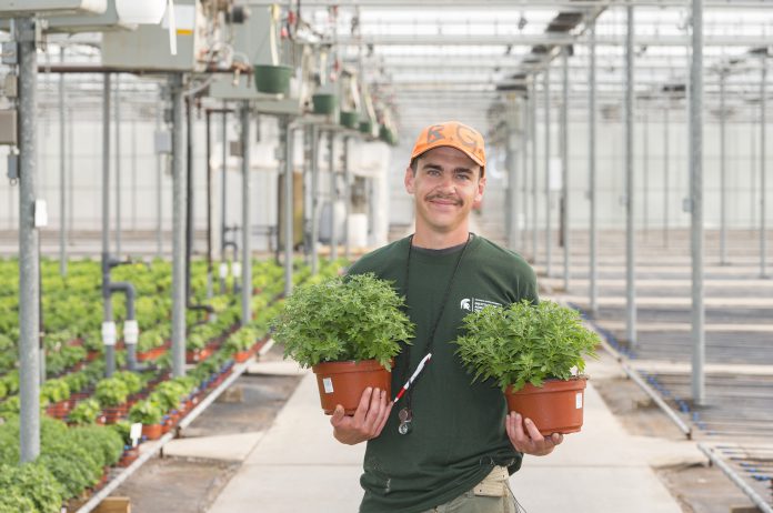 Man holding plants in a green house